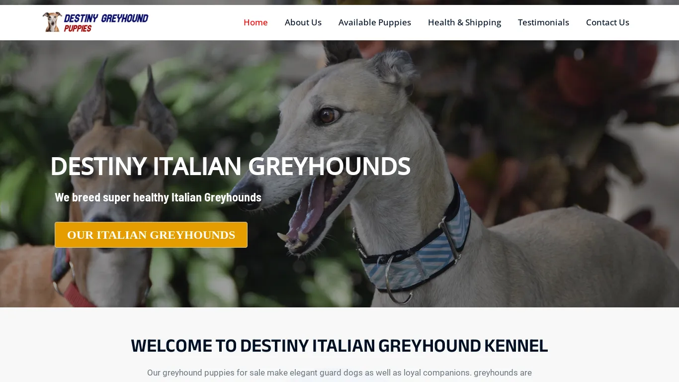 is Destiny Italian greyhound Kennel – Italian greyhounds For Sale legit? screenshot