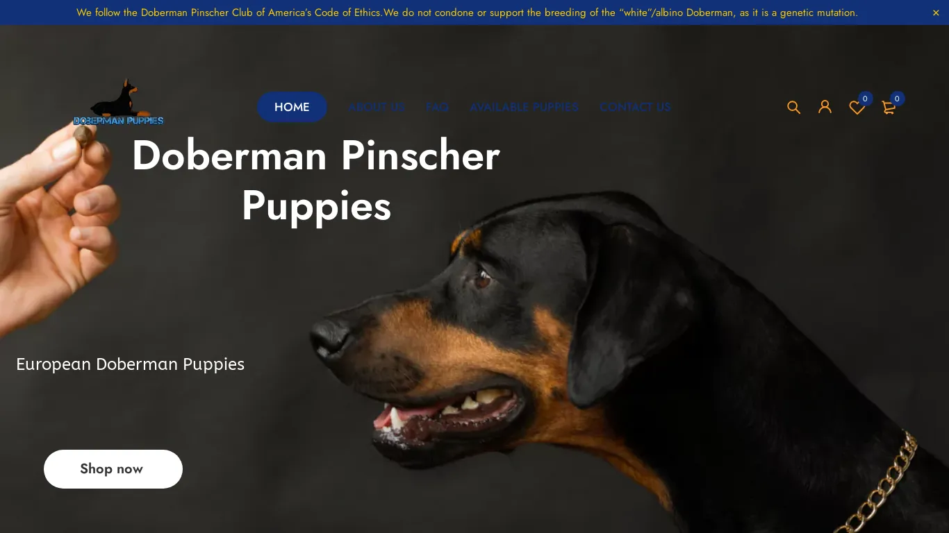 is Doberman puppies for sale near me | Doberman Puppies legit? screenshot