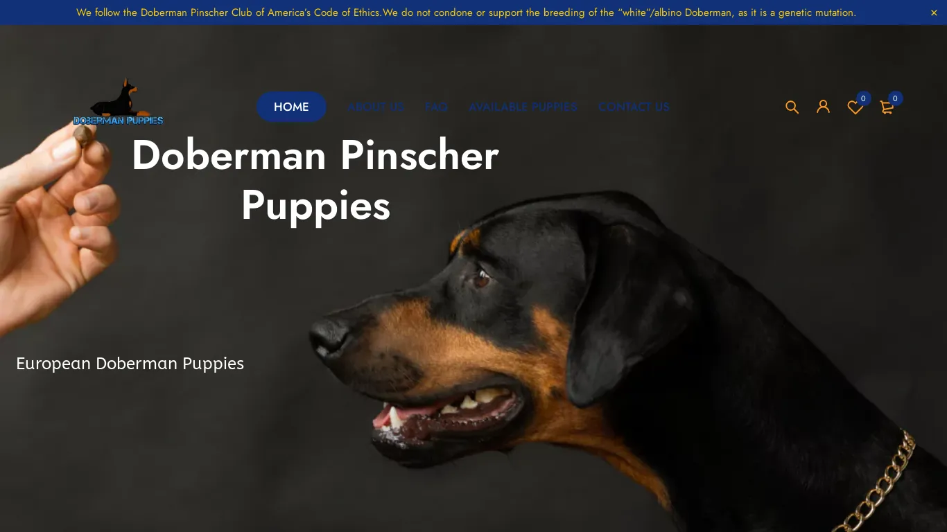 is doberman puppies for sale – european doberman legit? screenshot