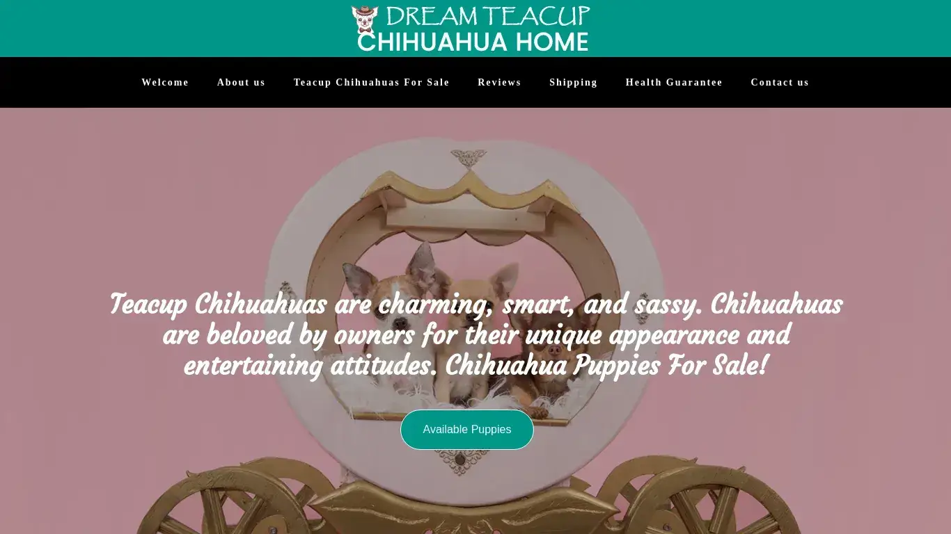 is Welcome | Dream Teacup Chihuahua Home legit? screenshot