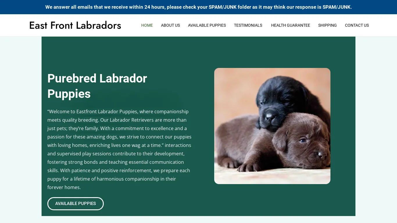 is East Front Labradors – Purebred Labrador Puppies For Sale legit? screenshot