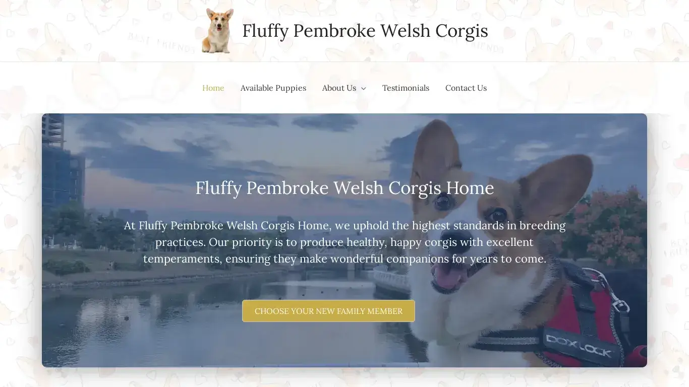 is Fluffy Pembroke Welsh Corgis legit? screenshot