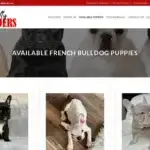 Is Friendlyfrenchbulldogbreeders.com legit?
