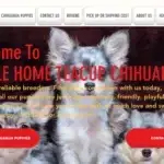 Is Gentlecareteacupchihuahuas.com legit?