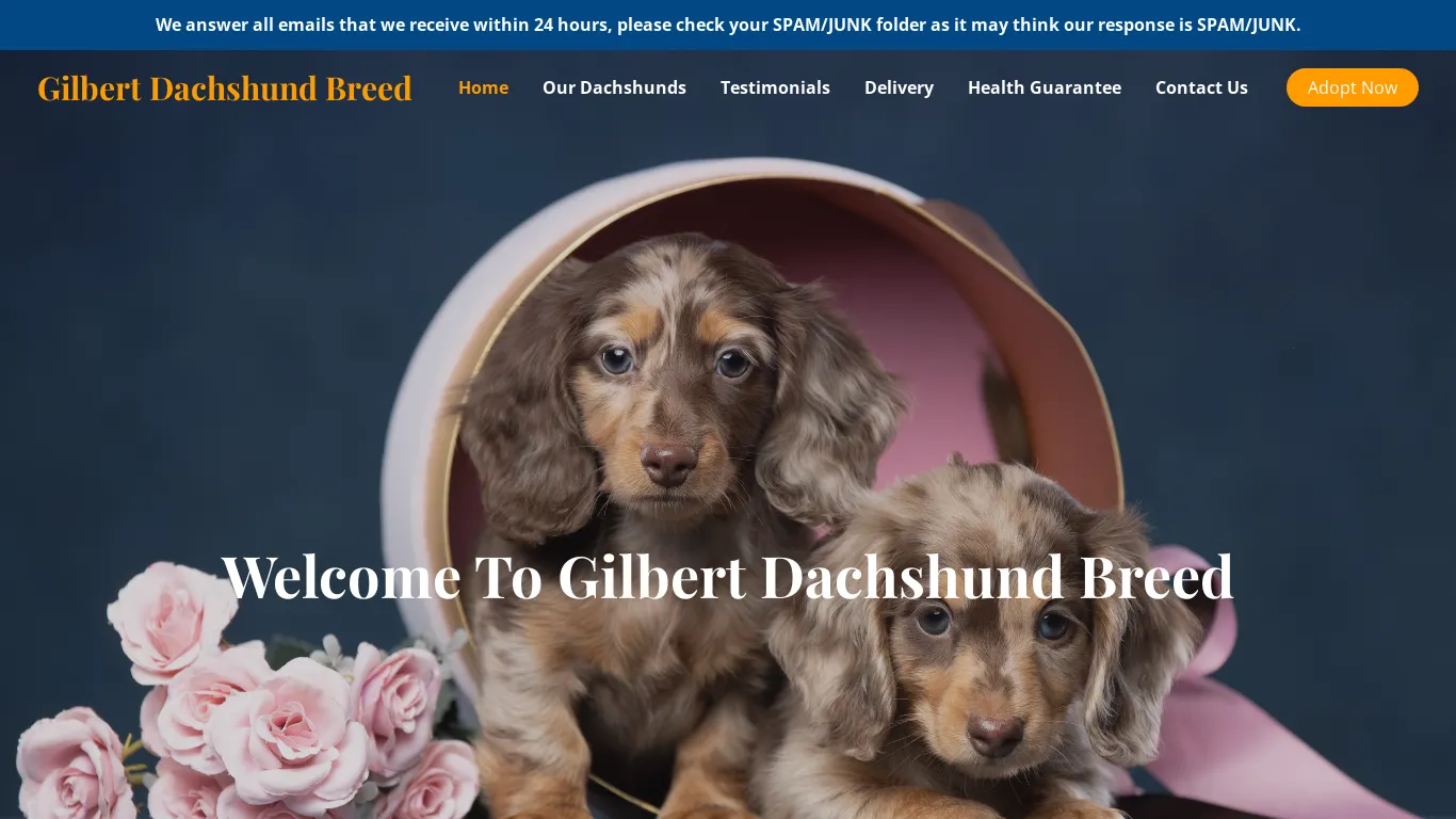 is Gilbert Dachshund Breed – Purebred Dachshunds For Sale legit? screenshot