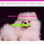 Is Gorgeouspomeranianpuppies.com legit?