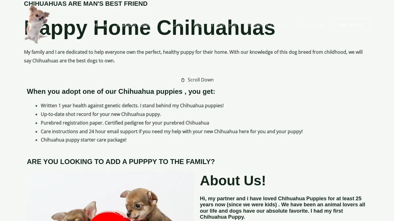 is Happy Home Chihuahuas legit? screenshot