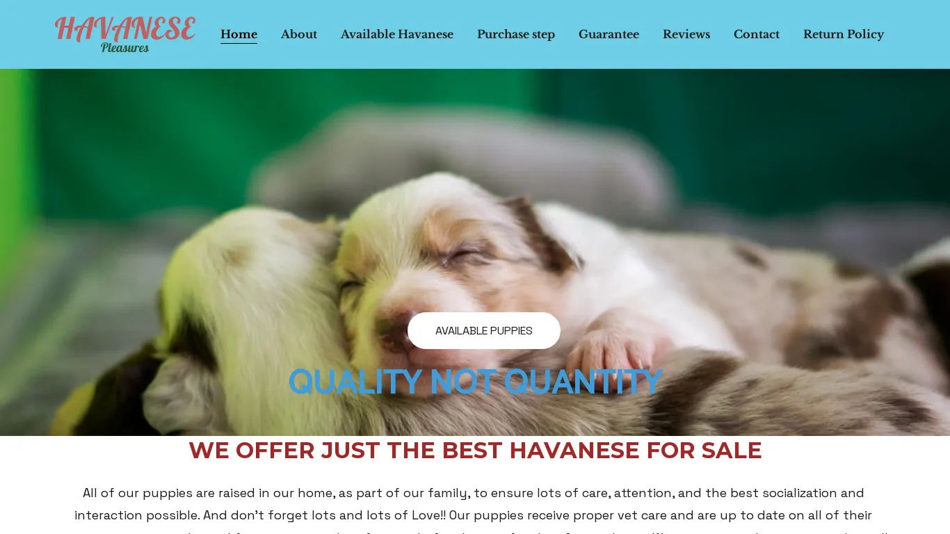 is Healthy and Potty Trained Havanese Puppies for Sale | 50% Discount | Havanese Puppies for sale legit? screenshot