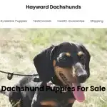 Is Haywarddachshunds.com legit?
