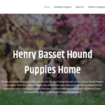 Is Henrybassethoundpuppieshome.com legit?