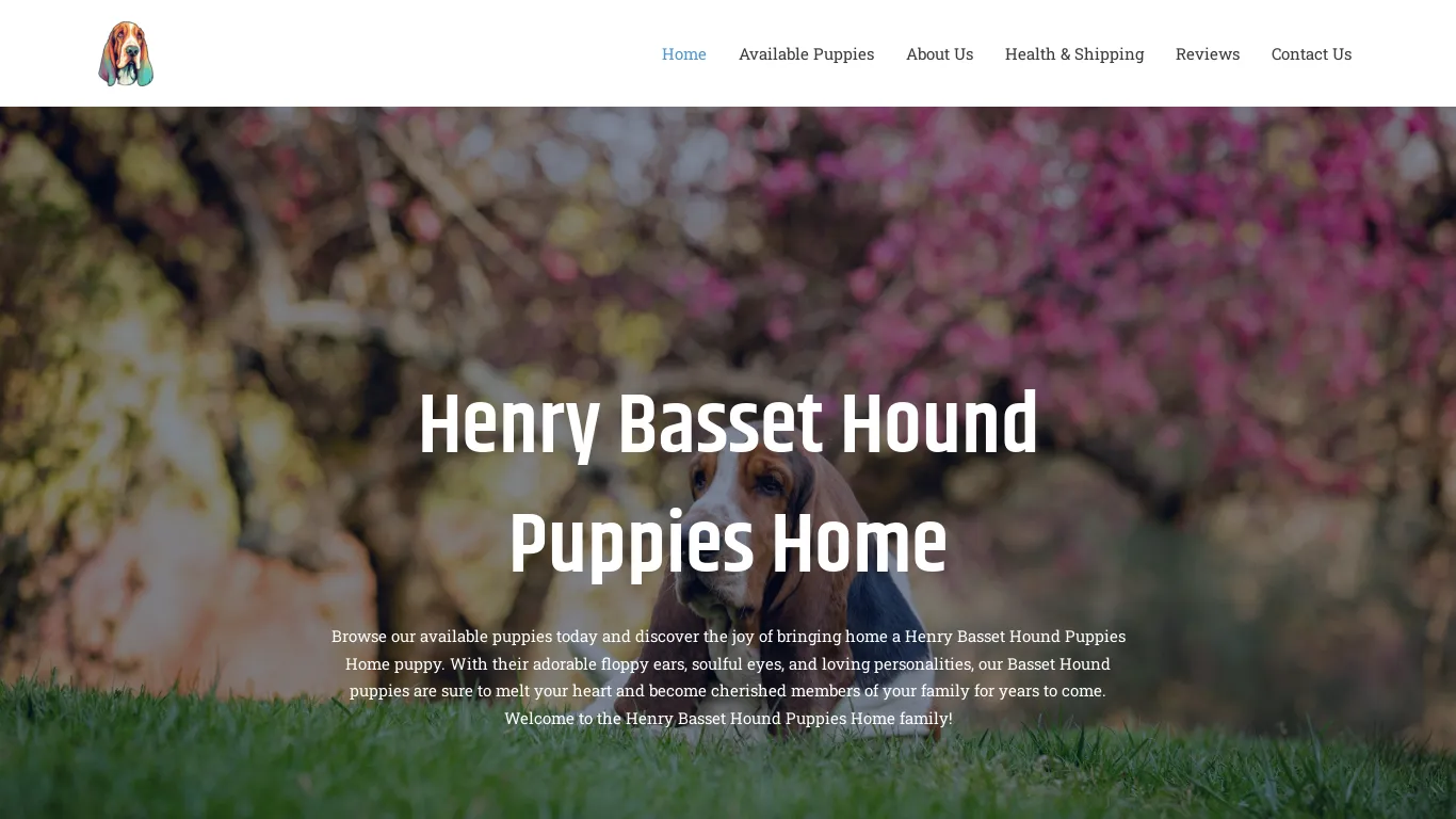 is Henry Basset Hound Puppies Home legit? screenshot