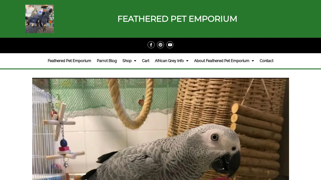 is Feathered Pet Emporium - Feathered Pet Emporium legit? screenshot