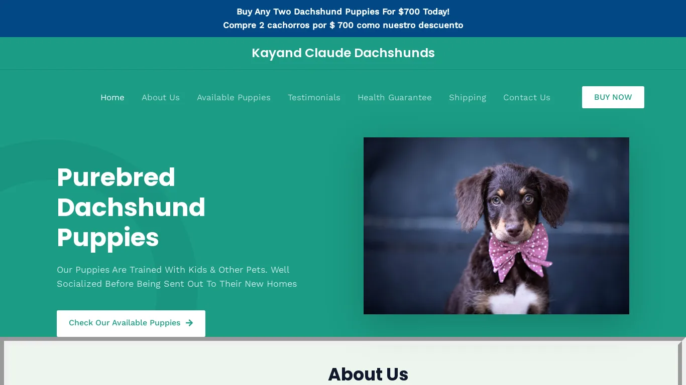 is Kayand Claude Dachshunds – Purebred Dachshund Puppies For Sale legit? screenshot