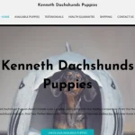 Is Kennethdachshundpuppies.com legit?