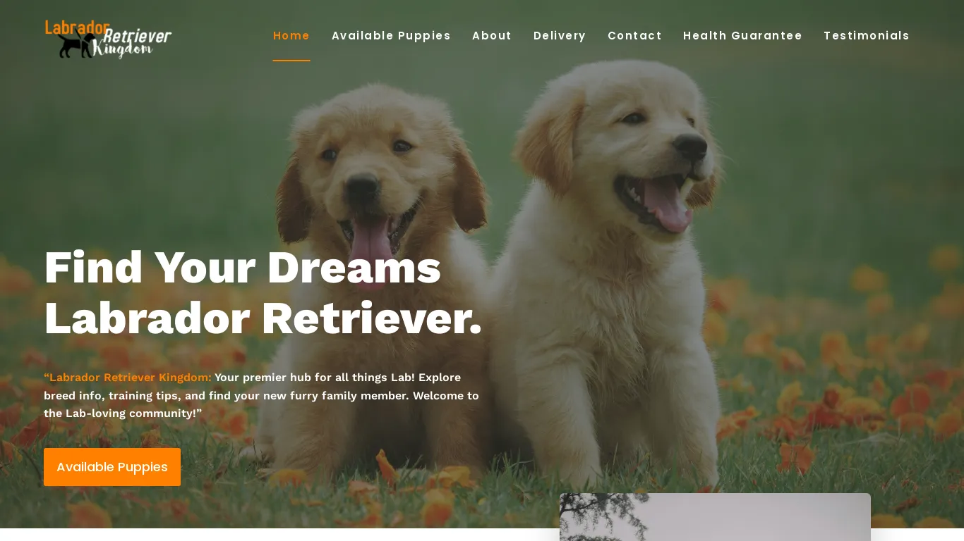 is Labrador Retriever Kingdom – Healthy Dogs legit? screenshot