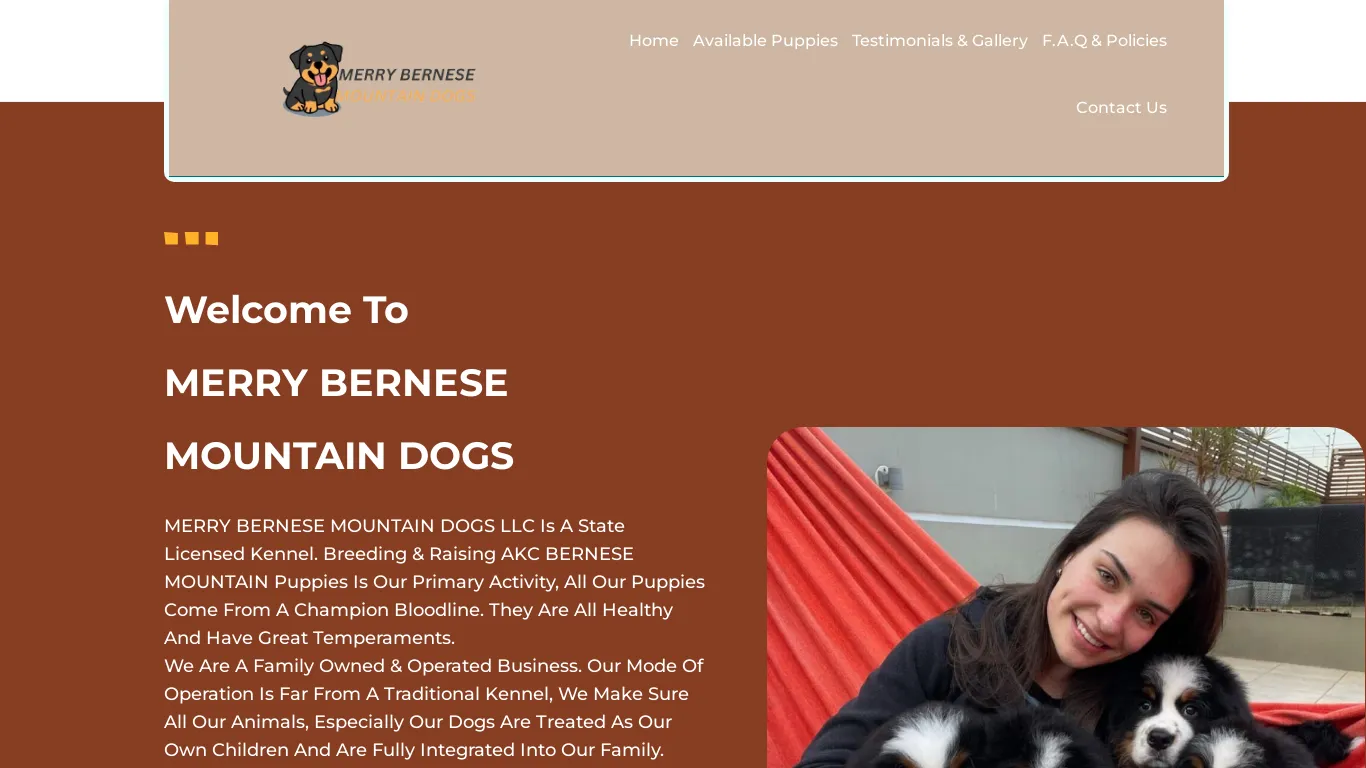 is Merry Bernese Mountain Dogs – Registered Bernese Mountain Dogs legit? screenshot
