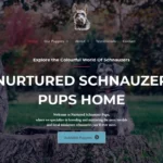 Is Nurturedschnauzerpups.com legit?