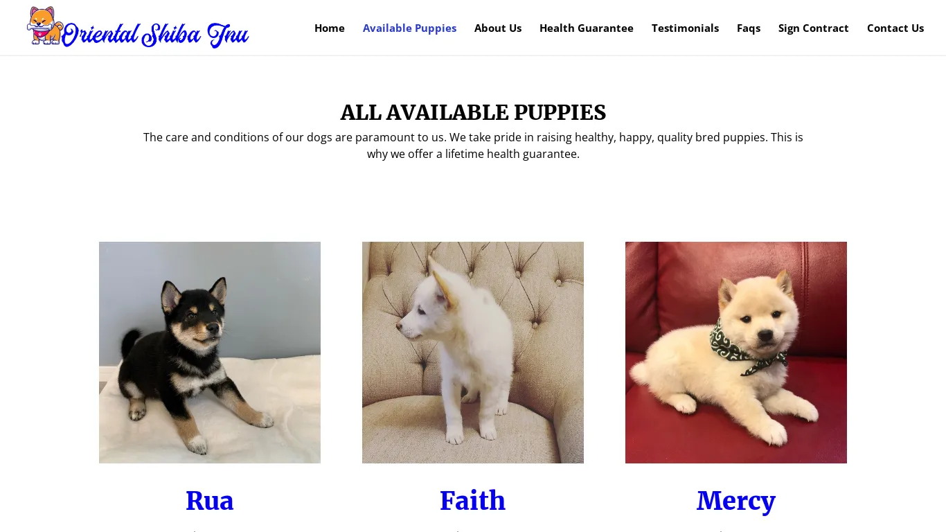is Oriental Shiba Inu | Cute Shiba Inu Puppies For Sale legit? screenshot