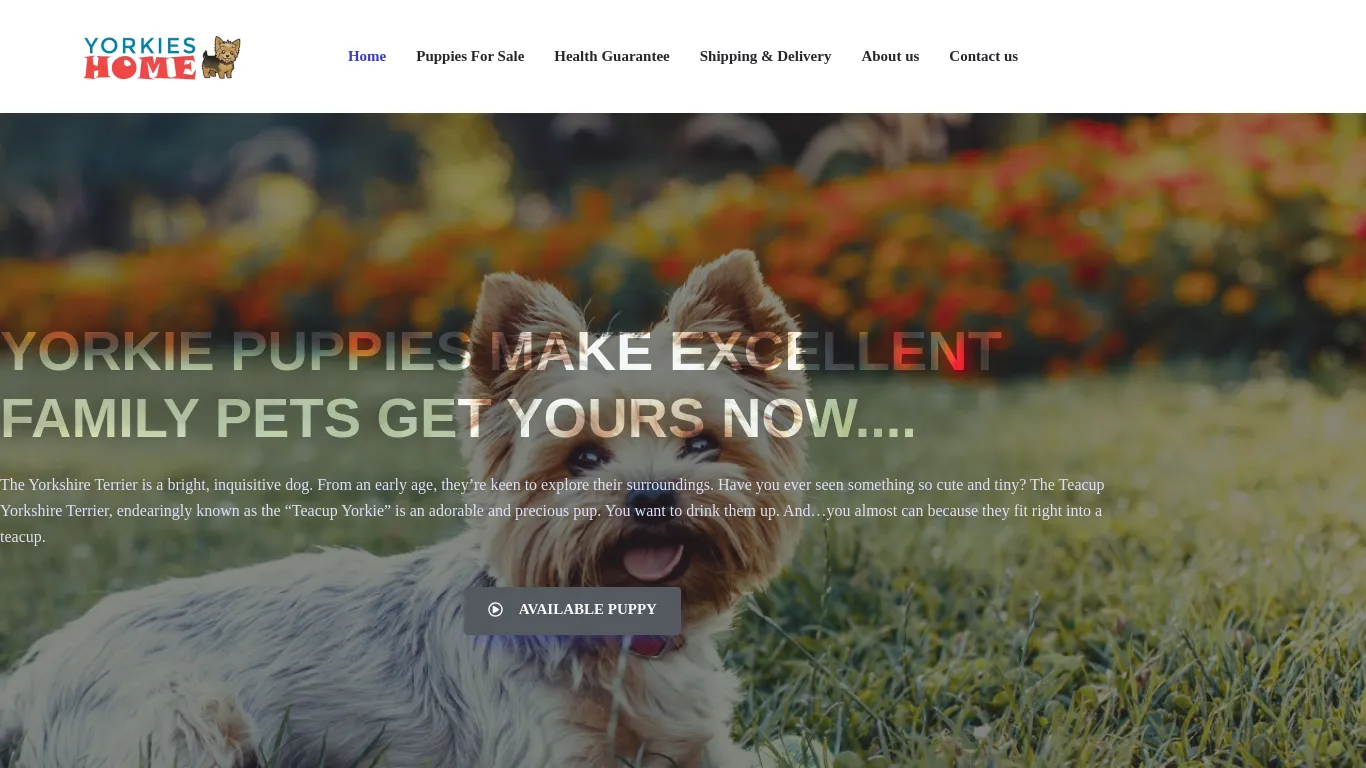 is Yorkshire Terrier – Yorkie Puppies for Sale legit? screenshot