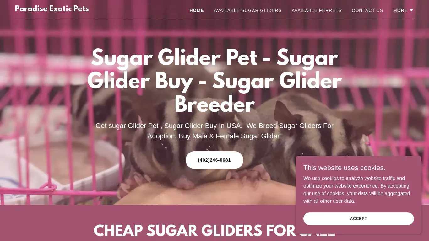 is Buy Sugar Glider Pets Online legit? screenshot
