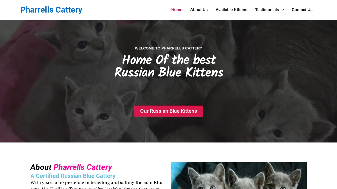 is Pharrells Cattery – Russian Kittens For Sale legit? screenshot