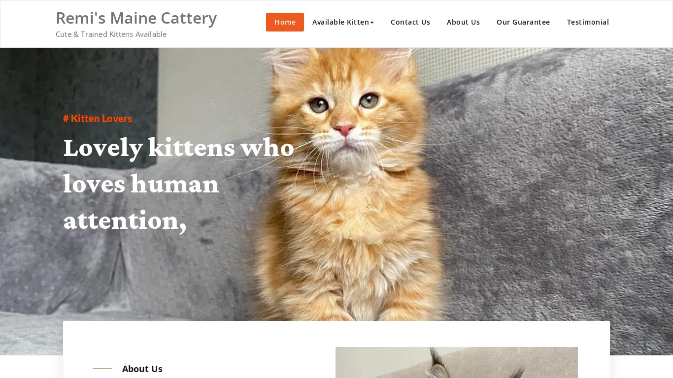 is Remi's Maine Cattery – Cute & Trained Kittens Available legit? screenshot