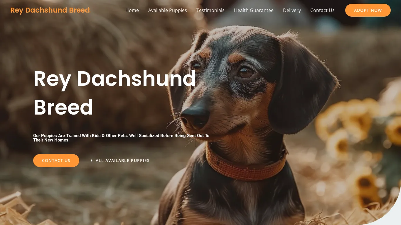 is Rey Dachshund Breed – Purebred Dachshund Puppies For Sale legit? screenshot