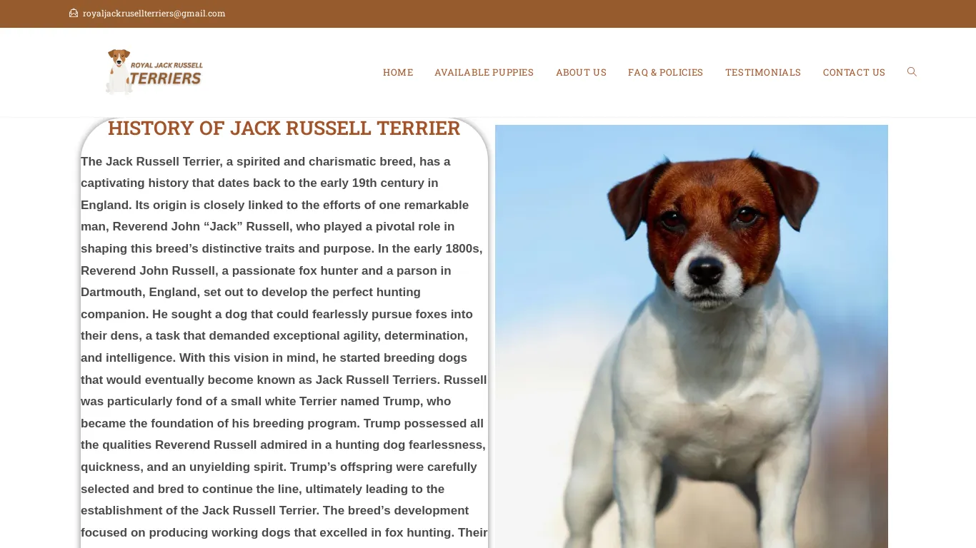 is Royal Jack Russell Terrier – Licensed Jack Russell Terrier  Breeders legit? screenshot