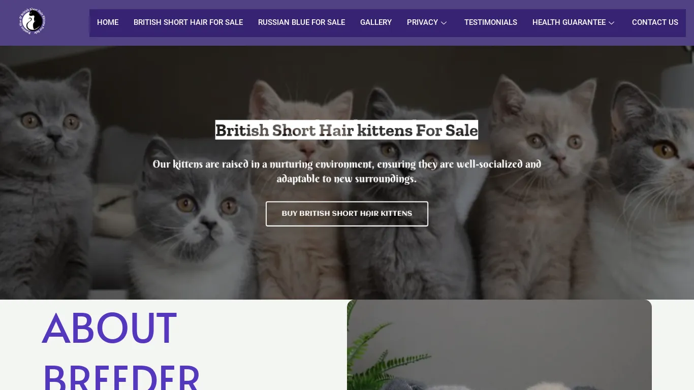 is Russian Blue and British Short Hair Kittens for Sale legit? screenshot