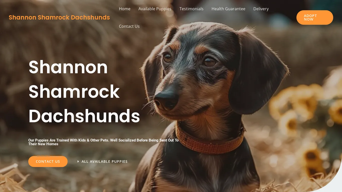 is shannonshamrockdachshunds.com legit? screenshot