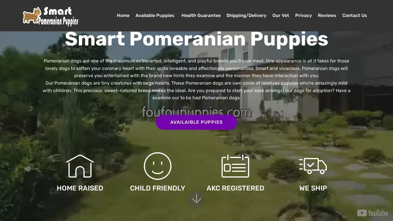 is Welcome To Smart Pomeranian Puppies Website | Cheap Healthy Pomeranian Puppies For Sale legit? screenshot