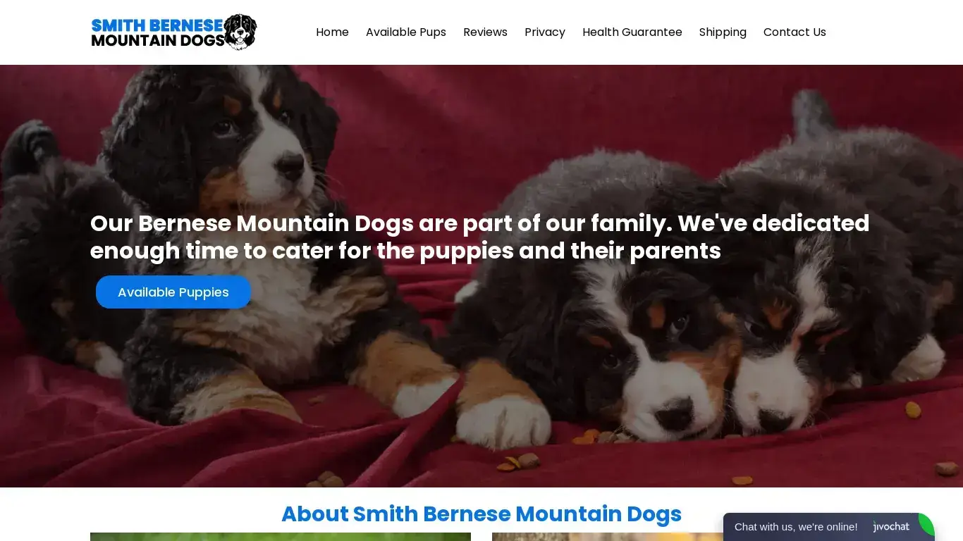 is Home - Smith Bernese Mountain Dogs legit? screenshot