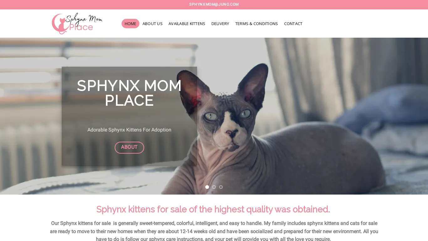 is Sphynx Mom Place – Sphynx Kittens For Sale legit? screenshot