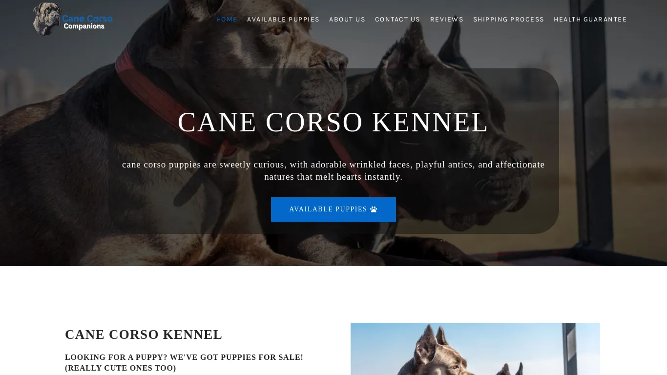 is cane corso kennel – Best of Cane Corso puppy legit? screenshot
