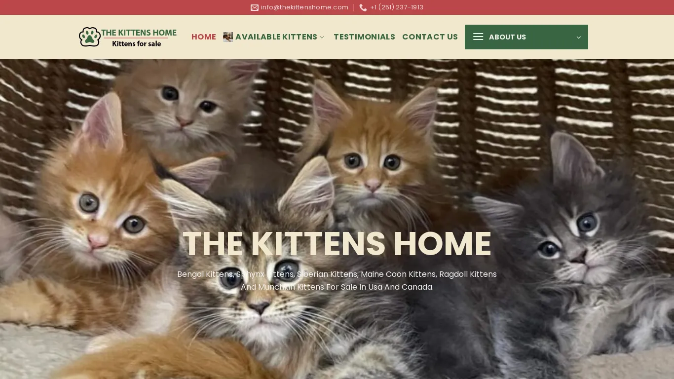 is The Kittens Home –  Kittens for sale online in USA and Canada legit? screenshot