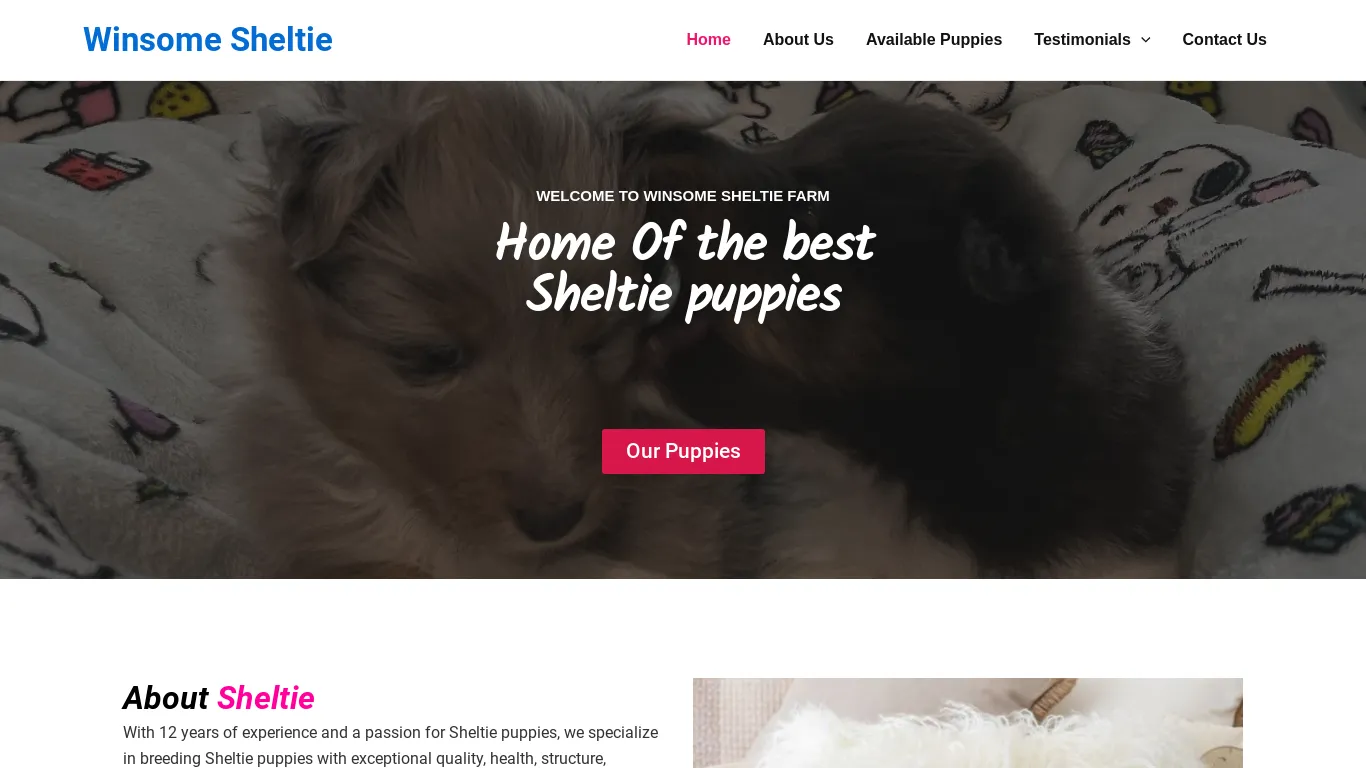 is Winsome Sheltie – Mini Sheltie Puppies For Sale legit? screenshot