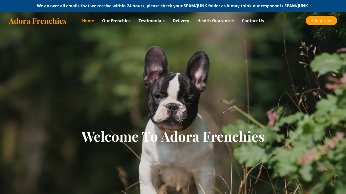 is Adora Frenchies – Purebred French Bulldogs For Sale legit? screenshot