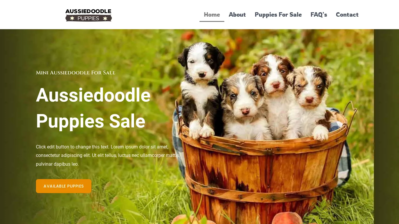 is Aussiedoodle Puppies For Sale legit? screenshot