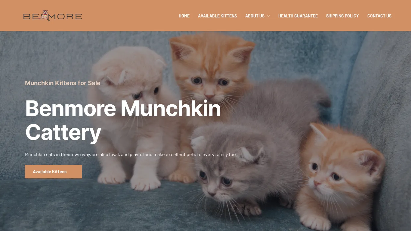 is Benmore Munchkin Cattery – Looking to buy Munchkin kittens or cats? Explore our selection of available Munchkin breeds in the USA. legit? screenshot