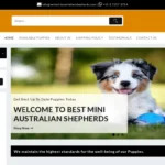 Is Bestminiaustralianshepherds.com legit?