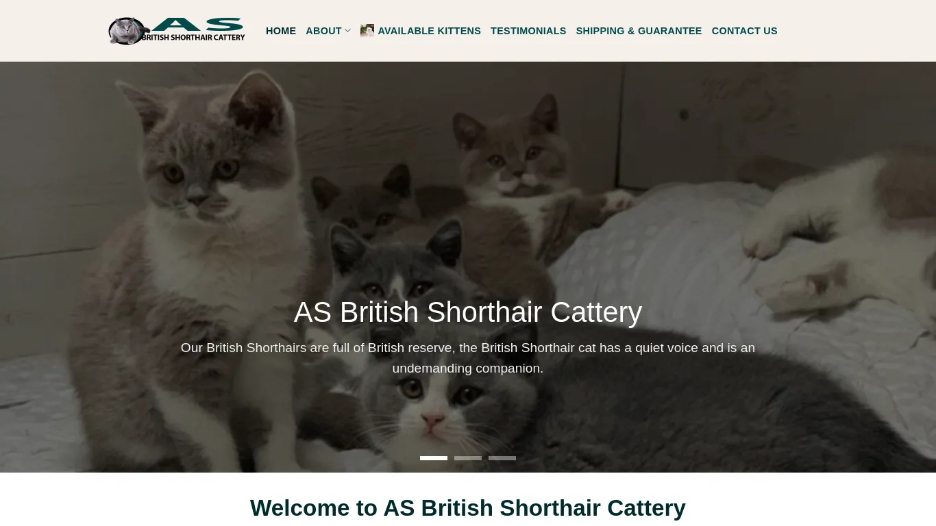is Home - AS British Shorthair Cattery legit? screenshot
