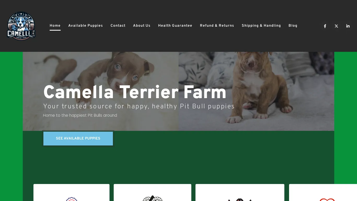 is Camella Terrier Farm – Pit Bull Puppies For Adoption legit? screenshot