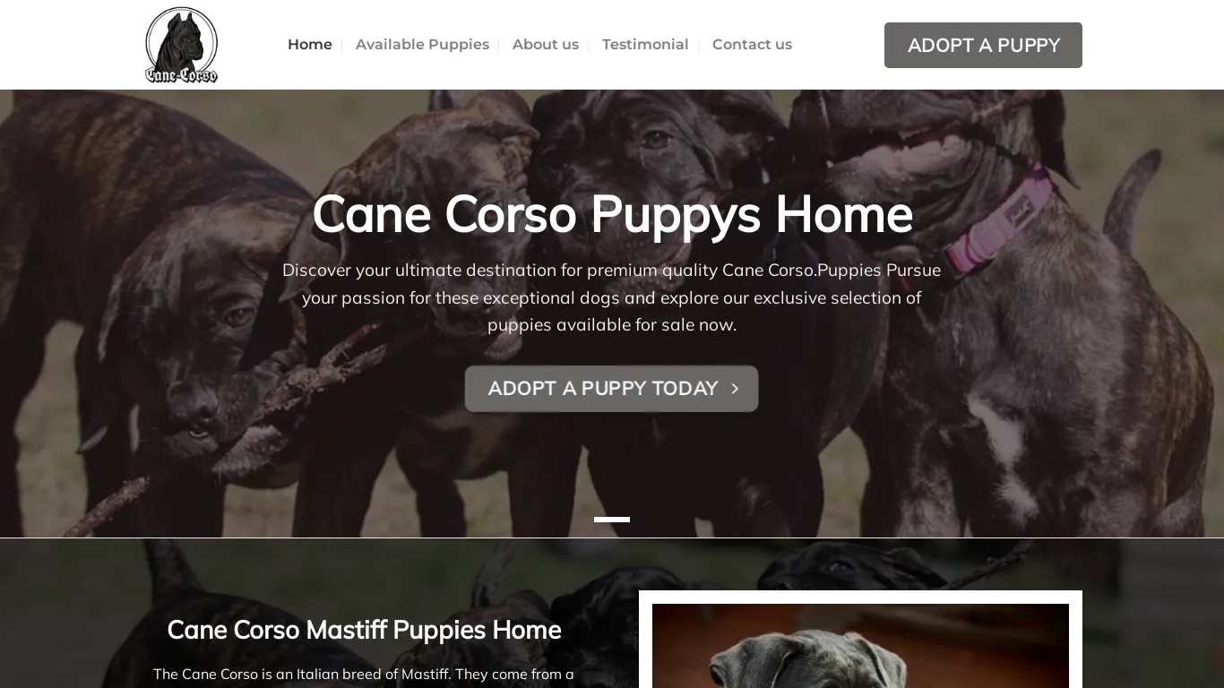 is Cane Corsp Puppys Home – Buy Cane Corsp Puppys Online legit? screenshot