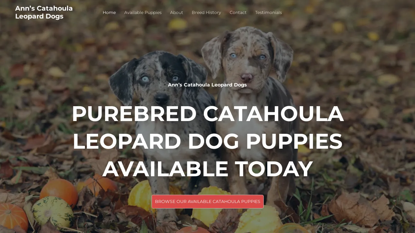 is Ann’s Catahoula Leopard Dogs – Catahoula Leopard Dogs For Sale legit? screenshot