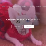 Is Championsphynxcattery.com legit?