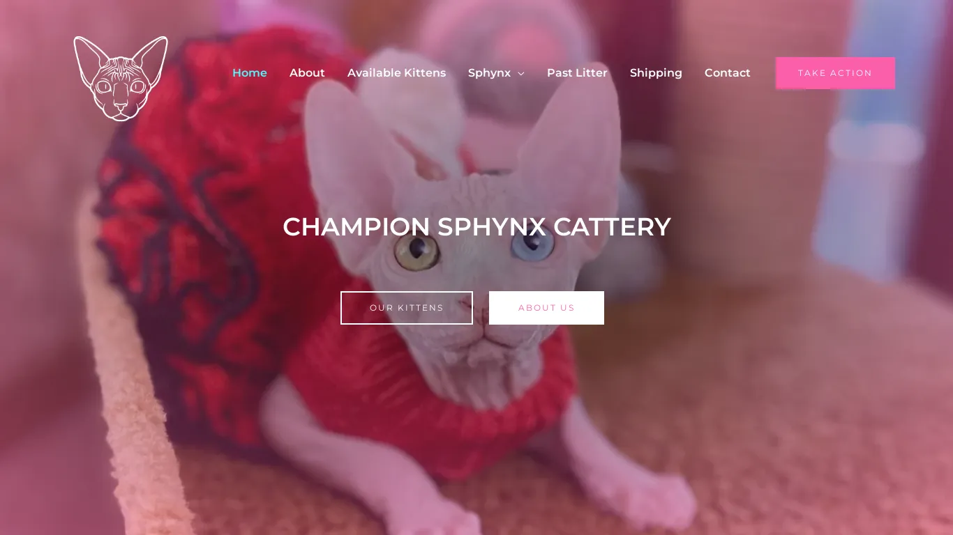 is Champion Sphynx Cattery – Home to Happiness legit? screenshot
