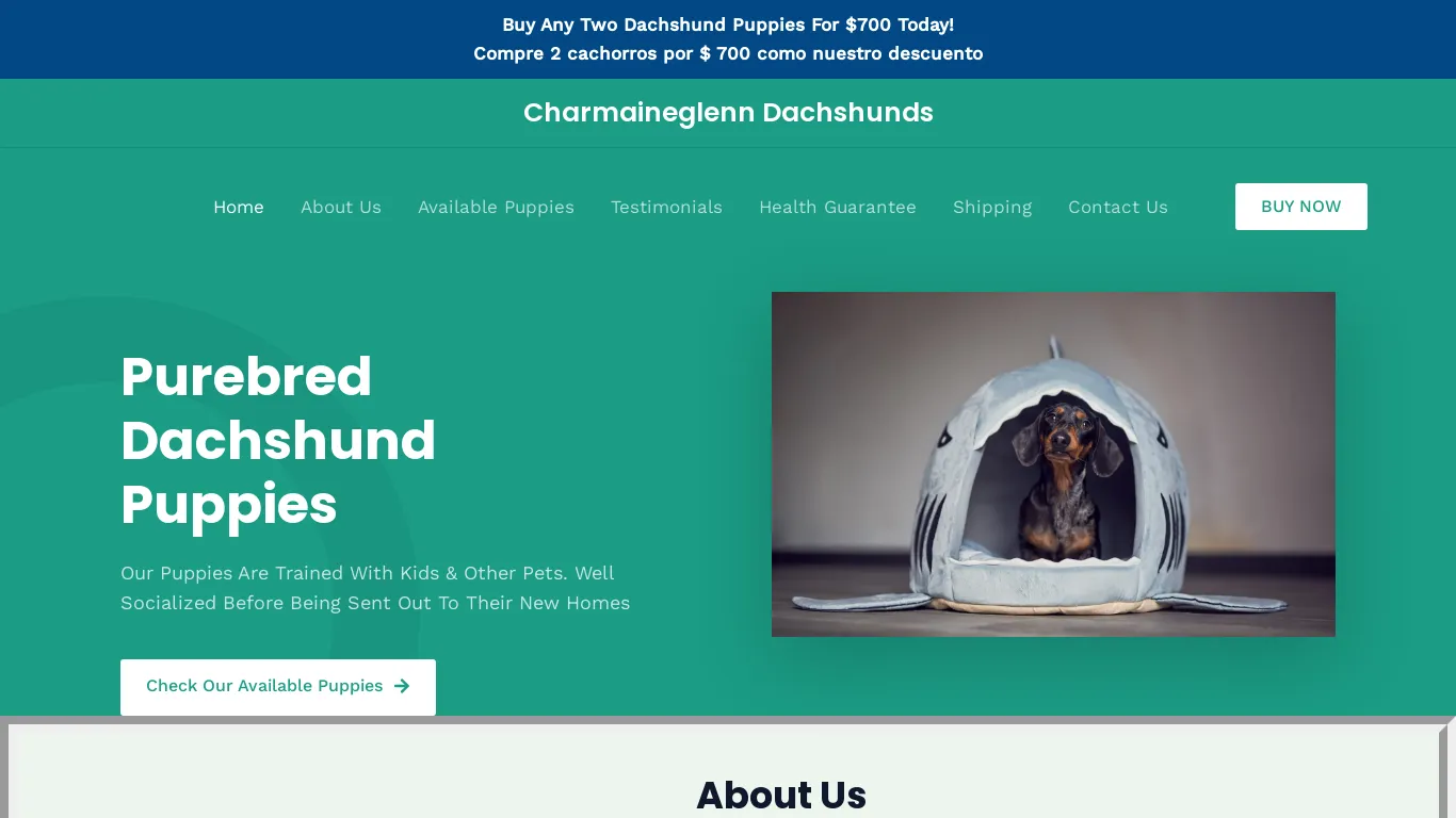 is Charmaineglenn Dachshunds – Purebred Dachshund Puppies For Sale legit? screenshot