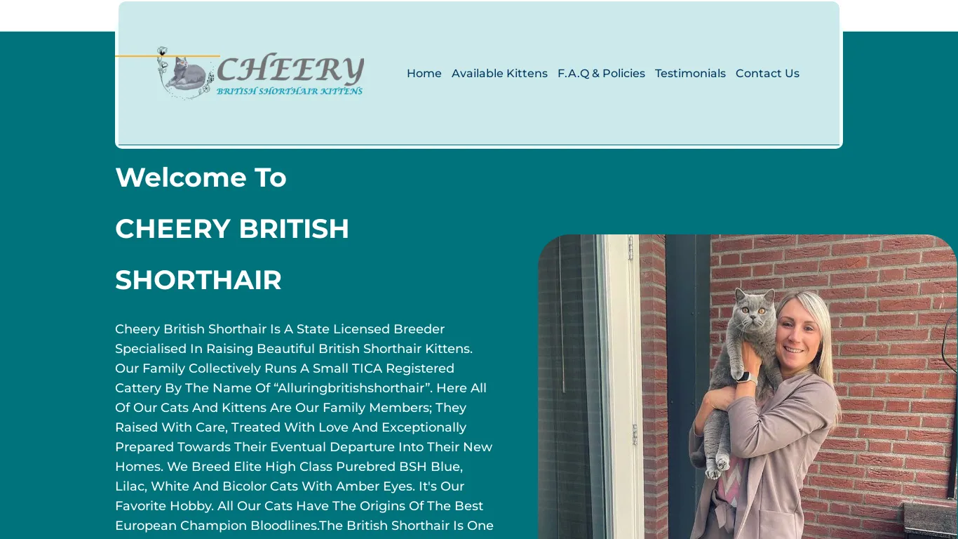 is Cheery British Shorthair – Registered Samoyed Puppies legit? screenshot