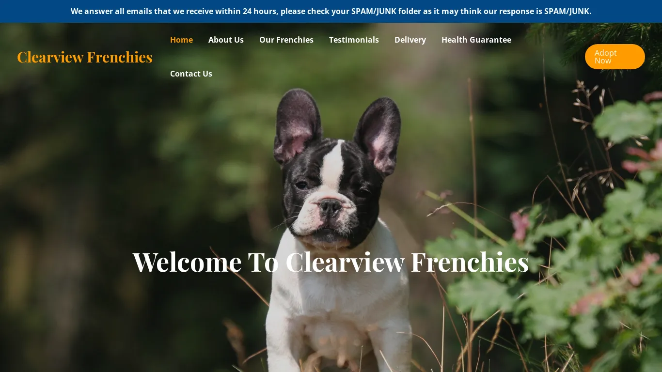 is Clearview Frenchies – Purebred French Bulldogs For Sale legit? screenshot
