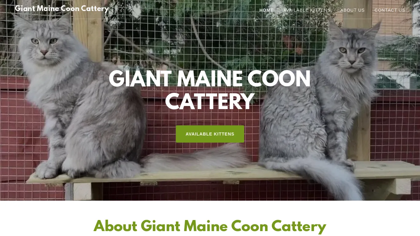 is Giant Maine Coon Cattery legit? screenshot